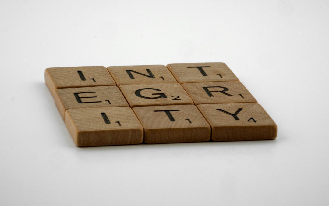 Integrity by LaNora Purvis